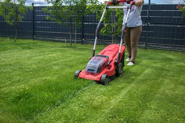 Types de tondeuses : laquelle choisir pour votre terrain ?