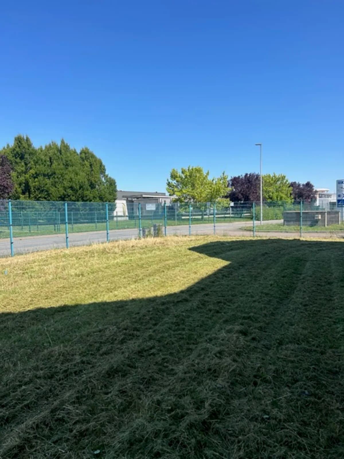 Nettoyage intensif de parcelle à Semécourt avec broyage et dégagement des zones encombrées pour retrouver un terrain exploitable.