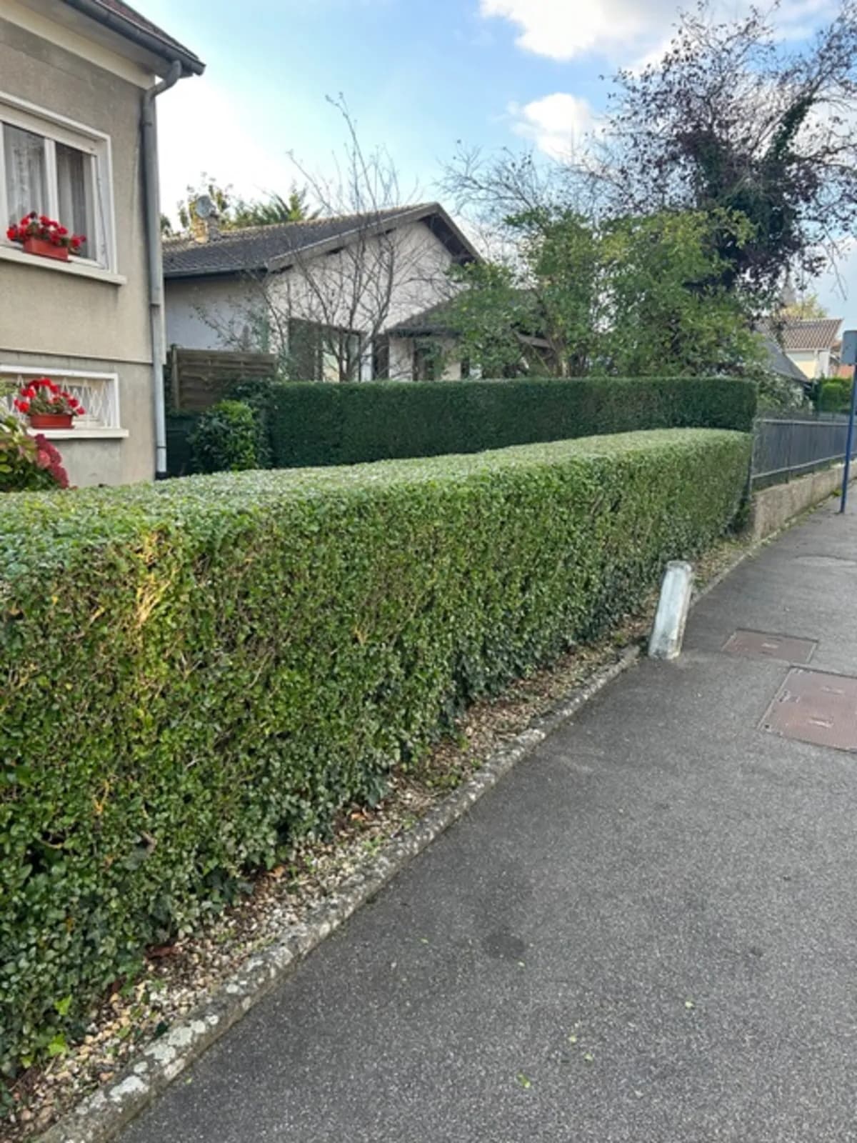 Intervention complète de taille de haie à Malancourt : mise à niveau, coupe soignée et finitions propres pour un rendu net et durable. Chantier réalisé dans le respect de la végétation et de l'environnement.