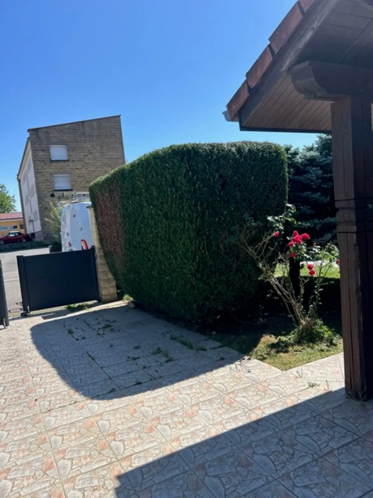 Taille d'arbustes à Montois : restructuration, équilibrage des volumes et coupe adaptée aux essences pour favoriser la reprise et la croissance.