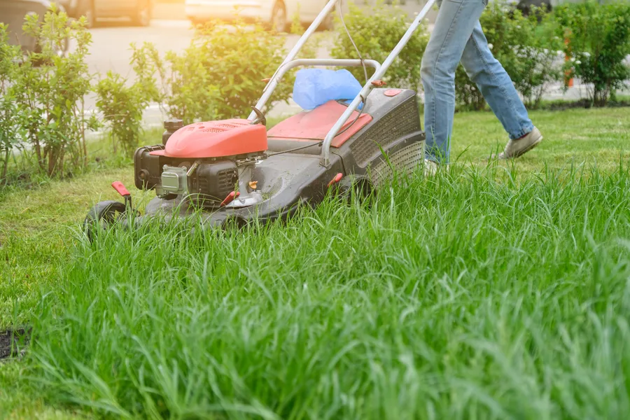 Un jardinier pousse une tondeuse à gazon sur une pelouse verte